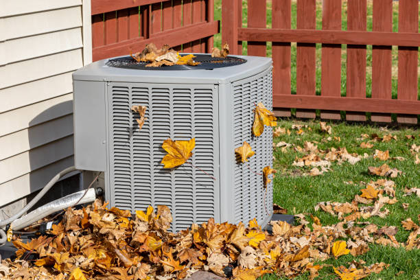 Best HVAC tune-up services  in Cabin John, MD